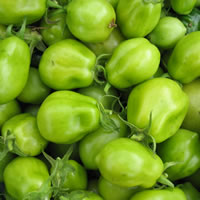 Green Tomatoes